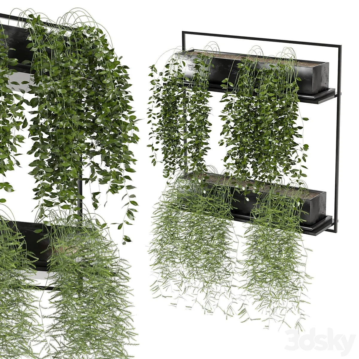 indoor hanging plants in metal box_set 142